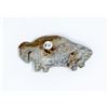 Image 2 : ANTIQUE IROQUOIS STONE BISON EFFIGY