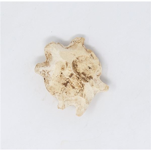 CLAY CO ARK STONE TURTLE EFFIGY