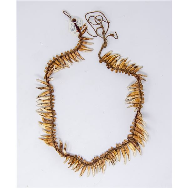 1800S ASMAR NEW GUINEA DOG TOOTH NECKLACE