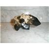 Image 1 : SMOKEY QUARTZ CRYSTAL BEAR GOD'S SCULPTURE #1673196
