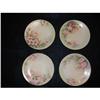 Image 1 : LIMOGES HAND PAINTED PLATES #1700140