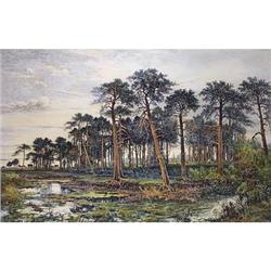 Etching Views/Landscapes Normandy Pine Forest, #1774674