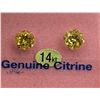 Image 1 : Yellow Gold Genuine Citrine Stud Earrings