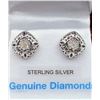 Image 1 : Sterling Silver Diamond Earrings
