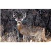 Image 1 : Illinois Deer Hunt Henderson County with Bigger Bucks Outfitters
