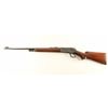 Image 2 : Winchester Model 71 .348 Win SN: 2974