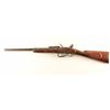 Image 2 : Sartoris MK III Carbine .67 Cal SN: 9