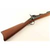 Image 6 : Springfield 1884 Trapdoor .45-70 SN: 371572
