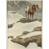 Image 1 : Original Oil on board