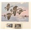 Image 1 : 1985 New York Migratory Bird &