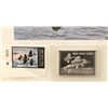 Image 2 : 1985 New York Migratory Bird &