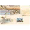 Image 2 : Utah II 1987/88 Duck Stamp Print