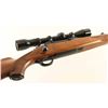 Image 6 : Ruger M77 7mm Rem Mag SN: 71-66353