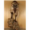 Image 1 : Himalayan Tahr Half Mount