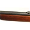 Image 3 : Winchester Model 55 .22 S/L/LR NVSN