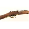 Image 5 : St. Etienne M1874 Gras Musketoon 11x59Rmm