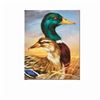 Image 1 : "Mallard" Limited Edition Giclee on Canvas by Martin Katon, Numbered and Hand Si