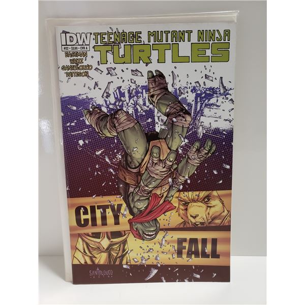 2013 Teenage Mutant Ninja Turles 22