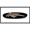Image 1 : Collectors' Piece Victorian Mourning Brooch #1674576