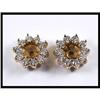 Image 1 : 14K Yellow Gold Diamond Earrings Jacket #1674605