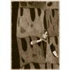 Image 1 : Contemporary Altered Art Inmigrants Series  #1702345