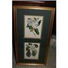 Image 1 : Magnolia Prints in 21" x 11" Gold Frame #1702355
