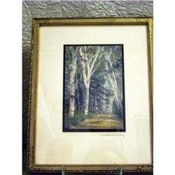 Wallace Nutting Hand Tinted Photo Untitled #1702617
