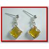 Image 1 : Amber & Solid Sterling Silver Earrings #1703660