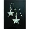 Image 1 : Contemporary Star Sterling Silver Earrings #1703947