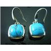 Image 1 : Turquoise Sterling Silver Dangle Earrings #1704267