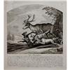 Engraving The Reindeer by J. E. Ridinger #1705603