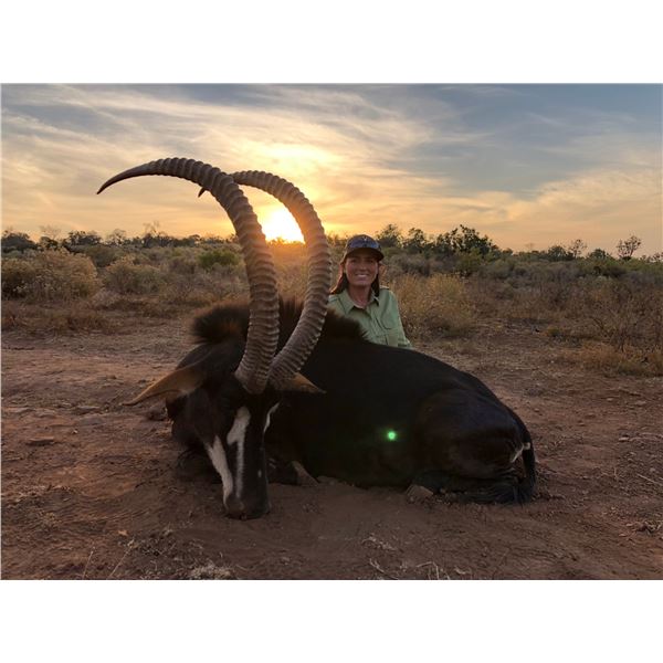 10-Day Sable/Kudu Hunt for 2 Hunters (2X1)