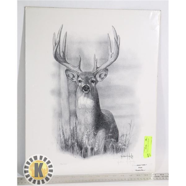 SEALED PENCIL STRETCH PRAIRIE BUCK