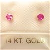 Image 2 : 14K YELLOW GOLD RUBY(0.25CT) EARRINGS