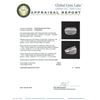 Image 4 : 14KT White Gold 0.62 ctw Diamond Ring