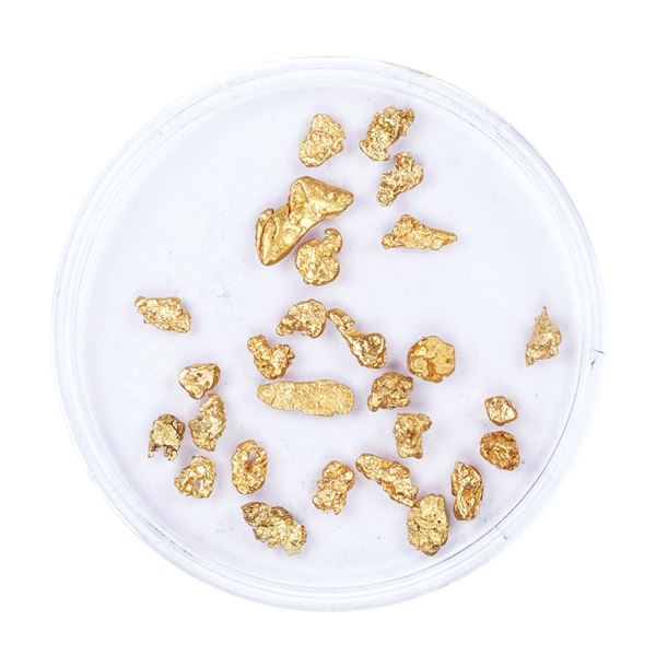 Lot of Gold Nuggets 2.92 Grams Total Weight