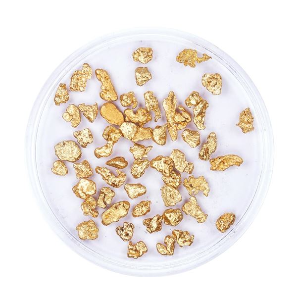 Lot of Gold Nuggets 4.91 Grams Total Weight