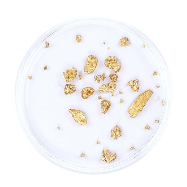 Lot of Gold Nuggets 1.60 Grams Total Weight