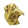 Image 1 : 4.85 Gram Gold Nugget