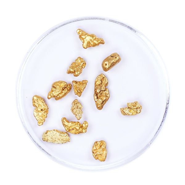 Lot of Gold Nuggets 3.80 Grams Total Weight