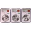 Image 1 : Lot of (3) 1979Mo Mexico 1 Onza Silver Coins NGC MS62