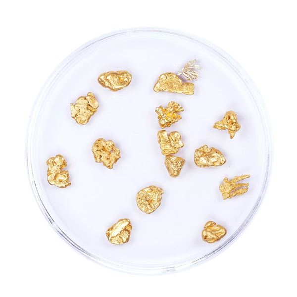 Lot of Gold Nuggets 2.89 Grams Total Weight