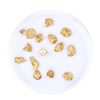 Image 2 : Lot of Gold Nuggets 2.89 Grams Total Weight