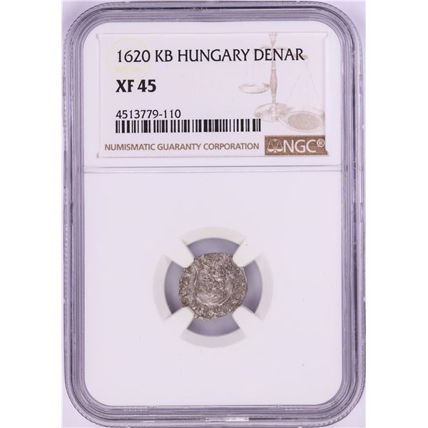 1620 KB Hungary Denar 'Madonna and Child' Coin NGC XF45