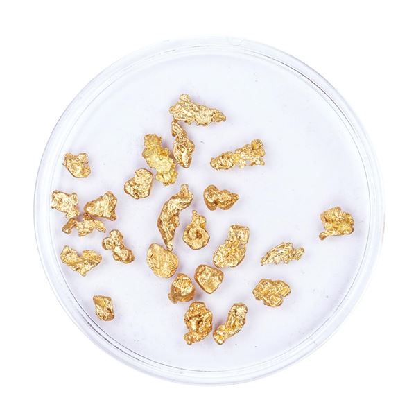 Lot of Gold Nuggets 3.00 Grams Total Weight
