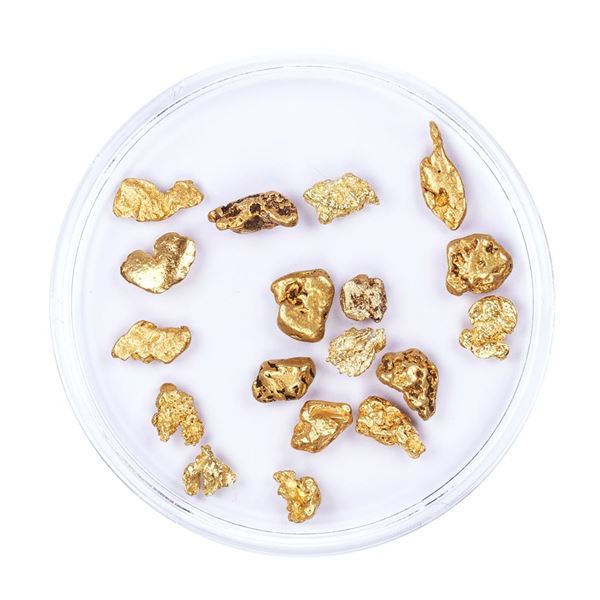 Lot of Gold Nuggets 4.80 Grams Total Weight