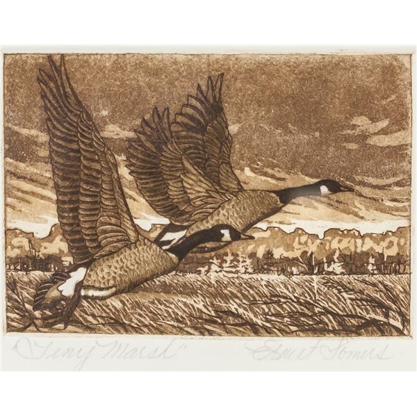 Engraving Print "Tiny Marsh"