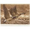 Image 1 : Engraving Print "Tiny Marsh"