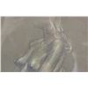 Image 3 : Canadian Charcoal Drawing Signed Robert