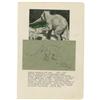 Image 1 : Tony Sarg Signed Illustration of an Elephant
